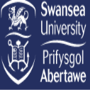 http://www.ishallwin.com/Content/ScholarshipImages/127X127/Swansea University-3.png